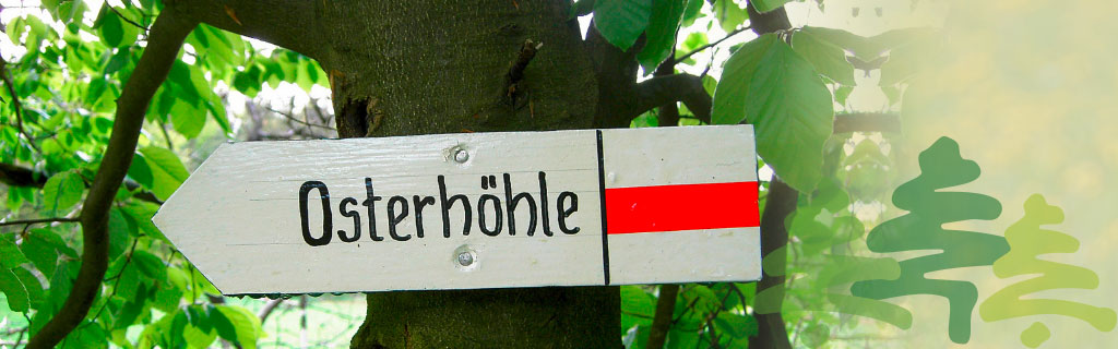 Kopfbild