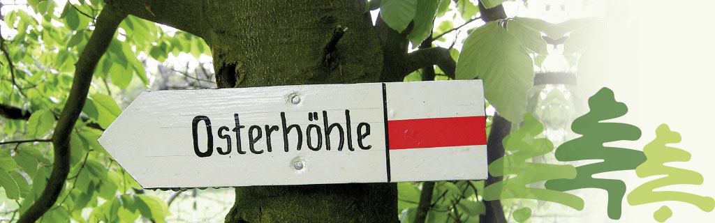 Kopfbild